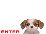 click to ENTER